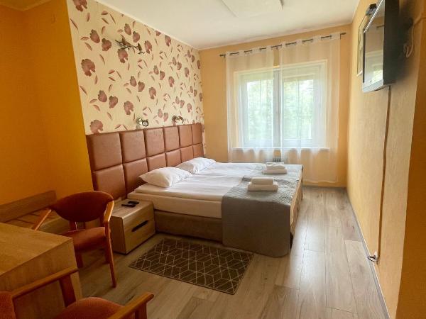 Willa Księżniczki Sopotu : photo 3 de la chambre double room on ground level with sea view