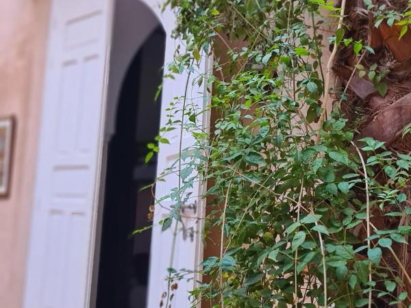 Hostel Laksour : photo 7 de la chambre lit dans dortoir pour femmes de 6 lits