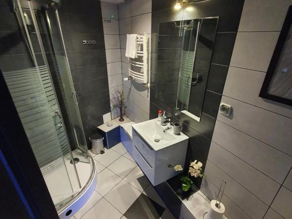Apartament z jacuzzi Kraków Rynek : photo 9 de la chambre studio avec baignoire spa