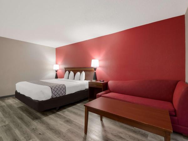 SureStay Plus Hotel by Best Western San Antonio North : photo 2 de la chambre suite lit king-size avec canapé-lit