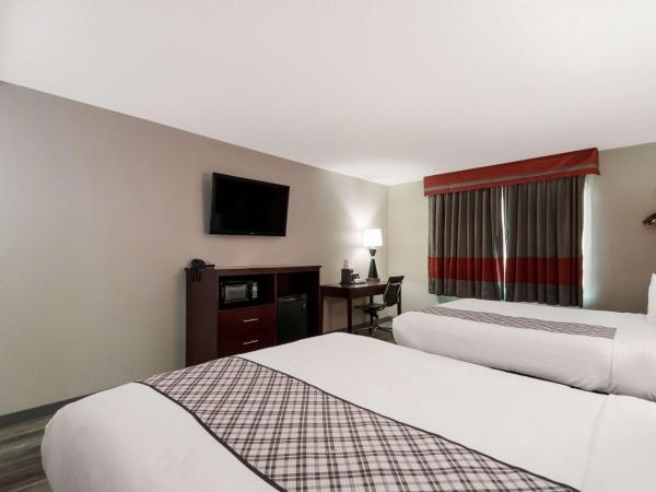 SureStay Plus Hotel by Best Western San Antonio North : photo 3 de la chambre chambre avec 2 grands lits queen-size 