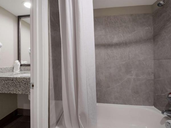 SureStay Plus Hotel by Best Western San Antonio North : photo 1 de la chambre chambre lit king-size avec canapé-lit