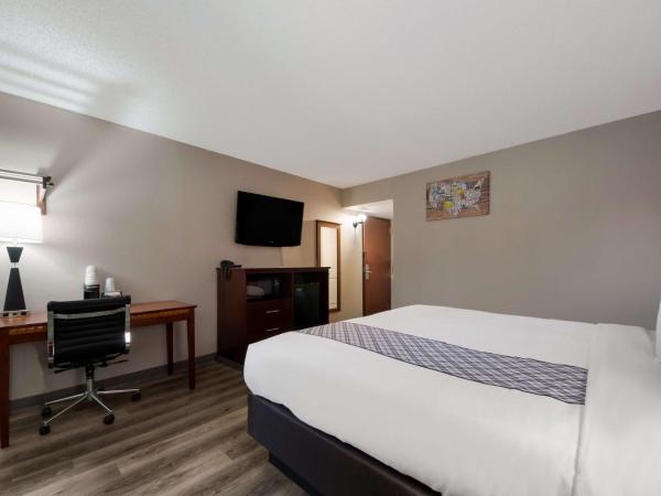 SureStay Plus Hotel by Best Western San Antonio North : photo 3 de la chambre chambre lit king-size avec douche accessible en fauteuil roulant - adaptée aux personnes à mobilité réduite