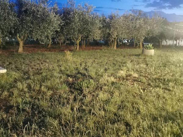 Villa Lamanova : photo 4 de la chambre chambre double deluxe avec balcon