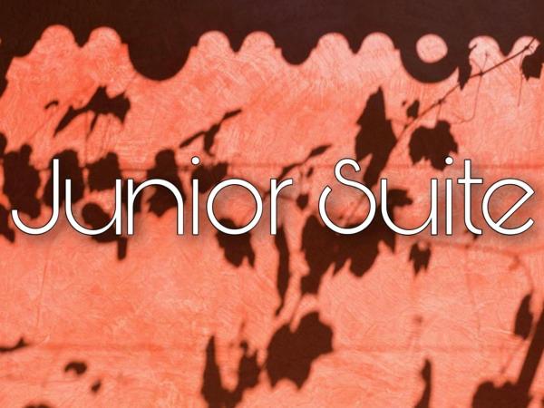 Case di Sotto, House & Breakfast : photo 2 de la chambre suite junior avec terrasse