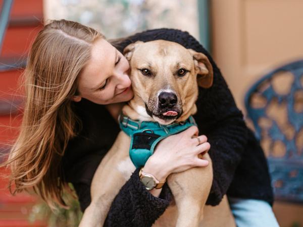 Marina Motel : photo 5 de la chambre chambre lit queen-size avec cuisine - cour