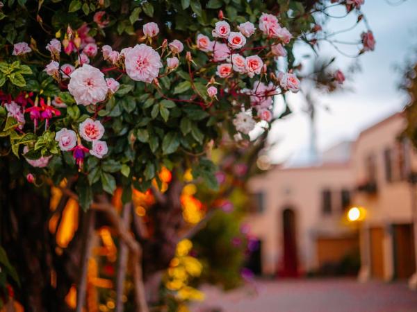 Marina Motel : photo 5 de la chambre chambre lit queen-size - cour
