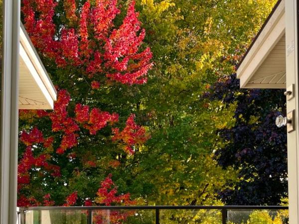 Vancouver Shangrila House : photo 7 de la chambre suite deluxe avec baignoire spa