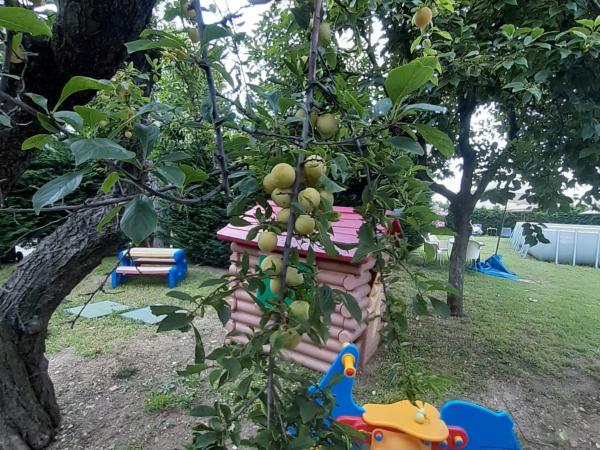 Residenza Le Dimore : photo 7 de la chambre studio avec vue sur jardin