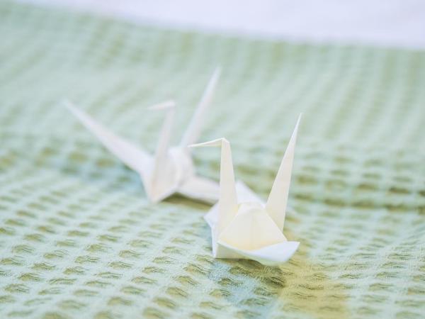 KIZUNA HOTEL Gojo Kiyomizu-dera Kamogawa : photo 5 de la chambre chambre familiale standard