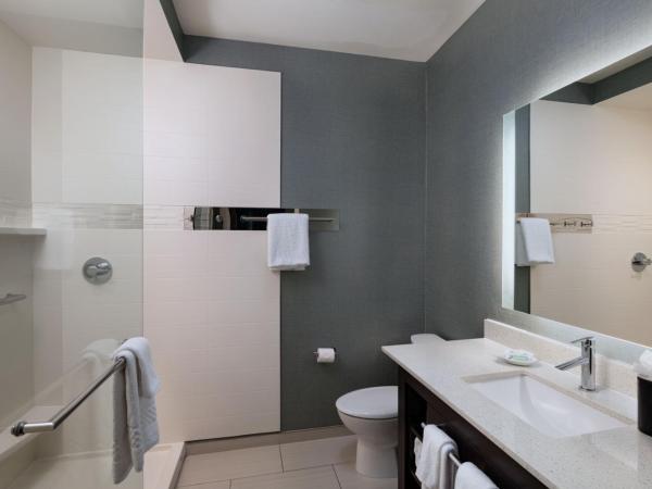 Residence Inn by Marriott Austin Southwest : photo 4 de la chambre studio lit king-size avec canapé-lit