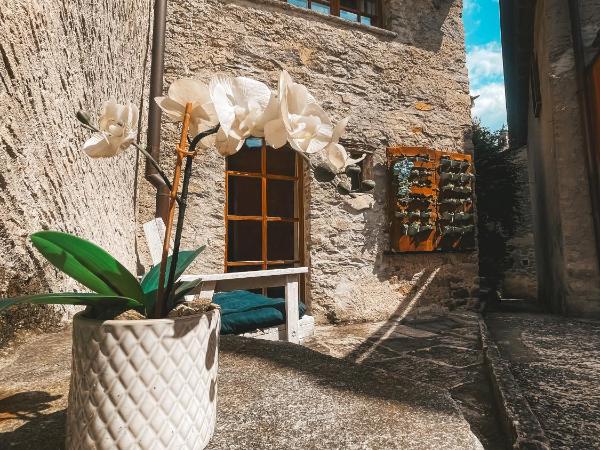 Case di Sotto, House & Breakfast : photo 1 de la chambre maison de vacances - garçonnière