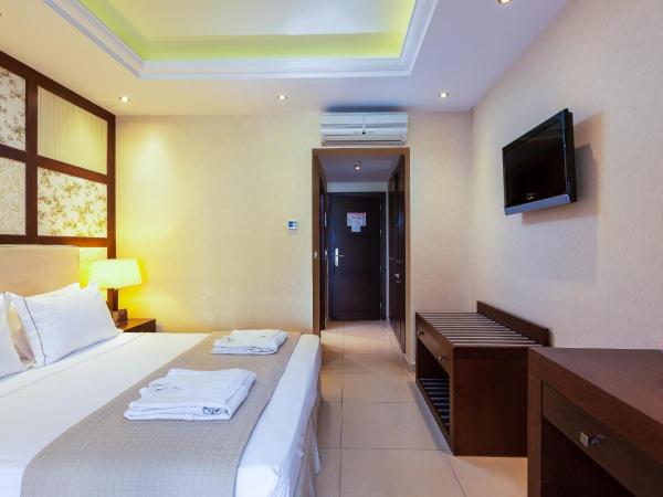 Theartemis Palace : photo 2 de la chambre chambre standard