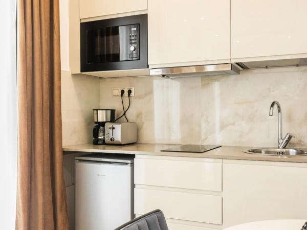 Nicholas Point Apartments and Rooms : photo 8 de la chambre penthouse