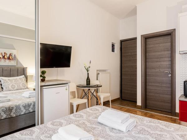 Nicholas Point Apartments and Rooms : photo 5 de la chambre studio avec balcon