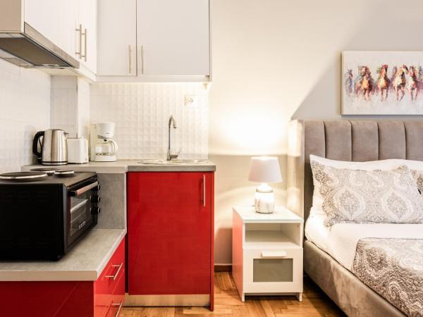 Nicholas Point Apartments and Rooms : photo 7 de la chambre studio avec balcon