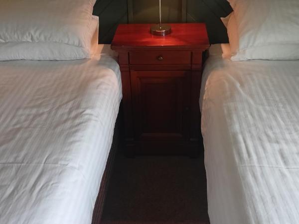 Hotel Sergul : photo 4 de la chambre chambre lits jumeaux avec salle de bains privative