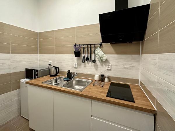 Penzion MOVEINN : photo 5 de la chambre appartement deluxe