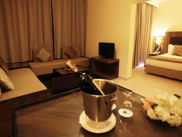 Labranda Targa Aqua Parc : photo 1 de la chambre studio