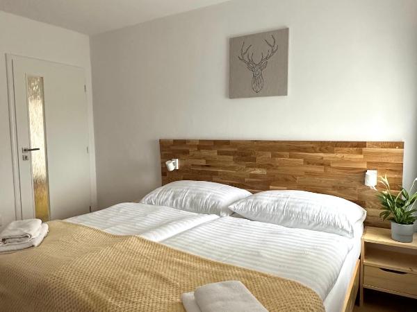 Penzion MOVEINN : photo 1 de la chambre appartement supérieur