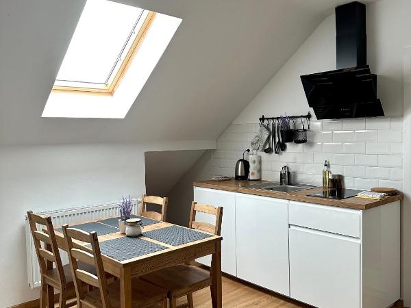 Penzion MOVEINN : photo 3 de la chambre appartement supérieur