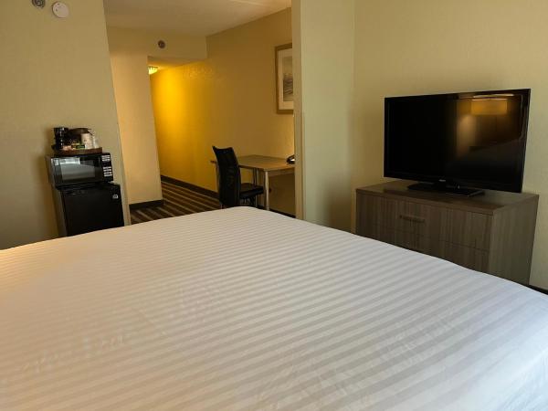 Sky Point Hotel & Suites - Atlanta Airport : photo 7 de la chambre chambre lit king-size