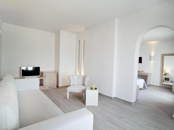 Santorini Palace : photo 5 de la chambre suite