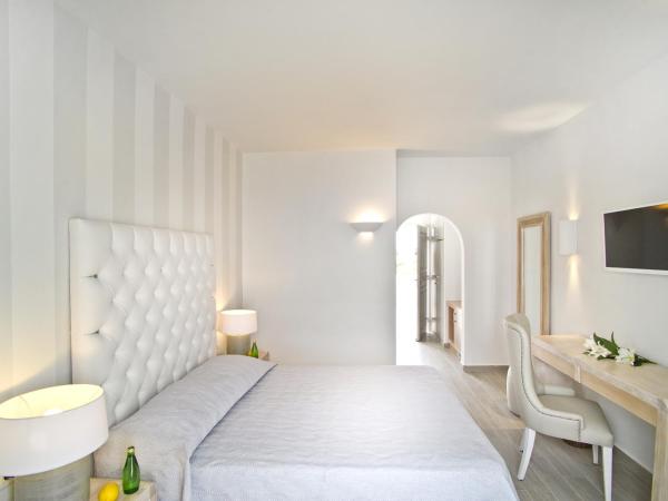 Santorini Palace : photo 3 de la chambre chambre supérieure