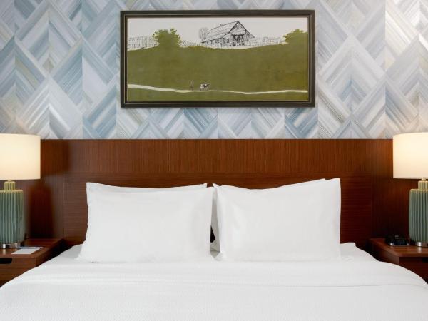 Fairfield Inn and Suites by Marriott Nashville Downtown/The Gulch : photo 2 de la chambre chambre lit king-size