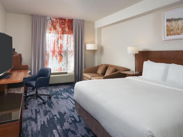 Fairfield Inn & Suites by Marriott Orlando International Drive/Convention Center : photo 6 de la chambre chambre lit king-size supérieure