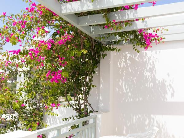 Astro Palace Hotel & Suites : photo 2 de la chambre chambre supérieure lune de miel 