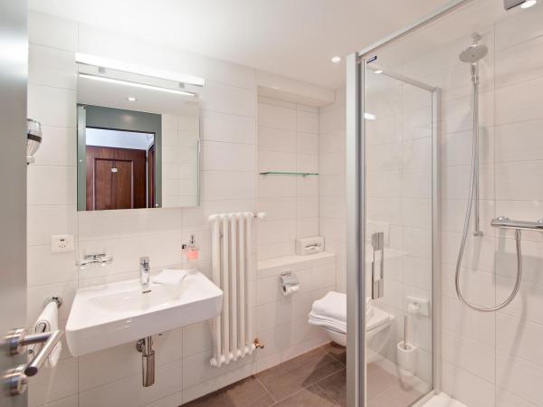 Hotel Bristol : photo 2 de la chambre chambre simple - vue sur montagne