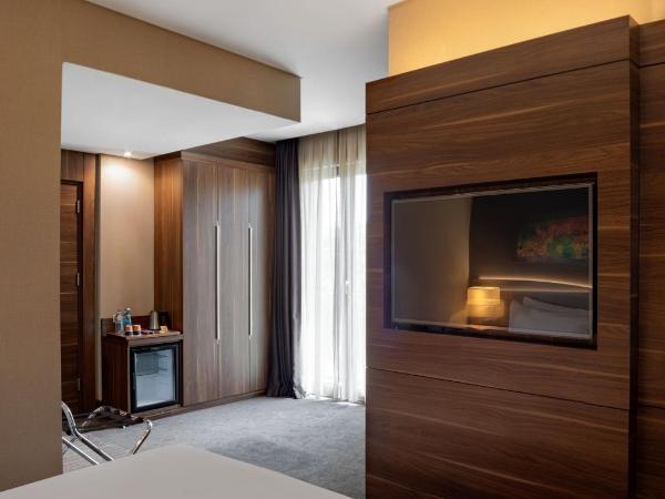 Holiday Inn Istanbul - Kadikoy, an IHG Hotel : photo 7 de la chambre chambre premium
