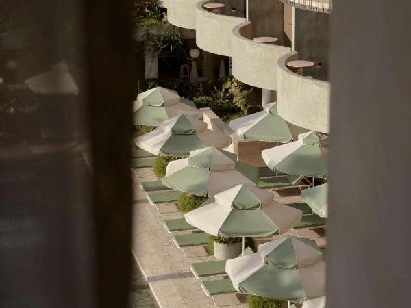 The Calile Hotel : photo 3 de la chambre suite deluxe