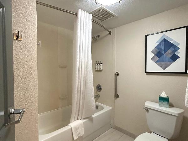 Candlewood Suites Indianapolis Downtown Medical District, an IHG Hotel : photo 9 de la chambre suite exécutive 2 chambres lit king-size - non-fumeurs