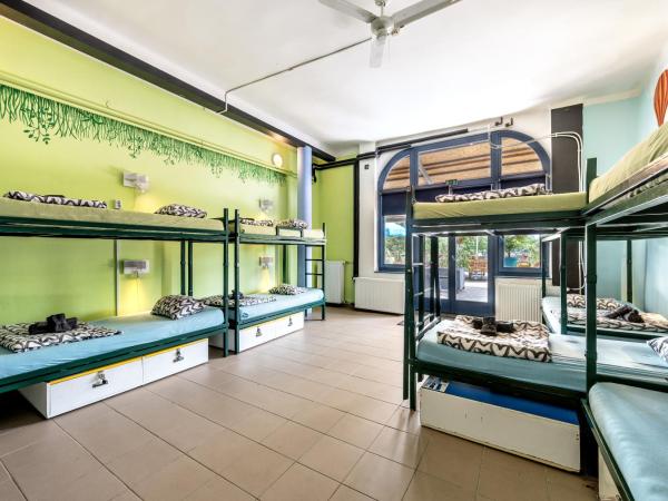 Island Hostel Budapest : photo 3 de la chambre lit simple dans dortoir de 10 lits