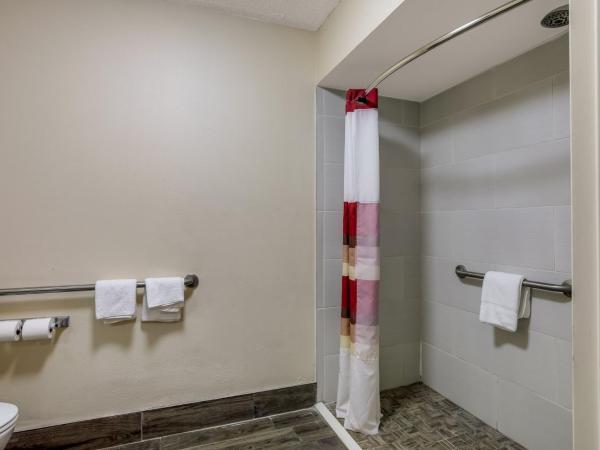 Red Roof Inn Nashville - Music City : photo 5 de la chambre chambre lit queen-size deluxe avec douche accessible en fauteuil roulant - adaptée aux personnes à mobilité réduite - non-fumeurs