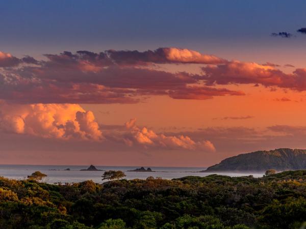 The Oasis Apartments and Treetop Houses : photo 3 de la chambre two-bedroom house - treetop (kingfisher)