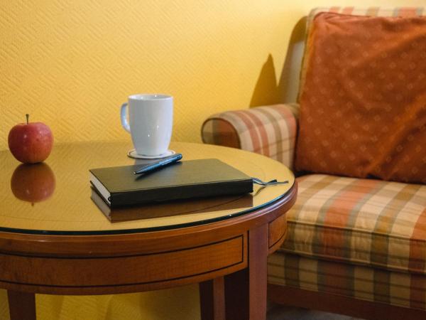 Hotel Silberhorn - Residences & Spa Wengen : photo 2 de la chambre chambre supérieure