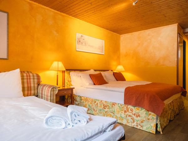 Hotel Silberhorn - Residences & Spa Wengen : photo 1 de la chambre chambre supérieure