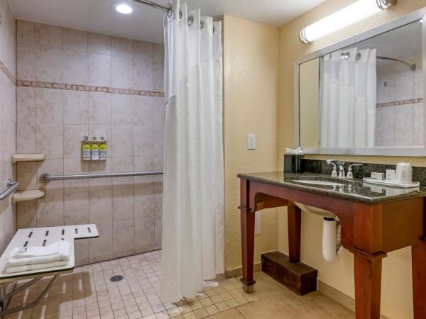 Holiday Inn Resort Orlando - Lake Buena Vista, an IHG Hotel : photo 3 de la chambre chambre lit king-size standard avec douche accessible en fauteuil roulant - adaptée aux personnes à mobilité réduite/malentendantes 