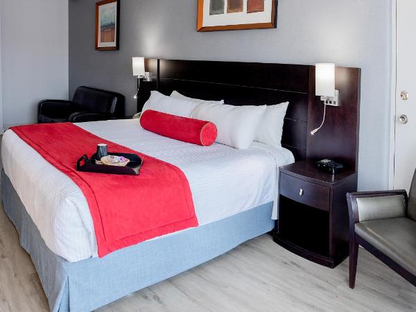 Auberge Royal Versailles : photo 1 de la chambre chambre lit king-size deluxe