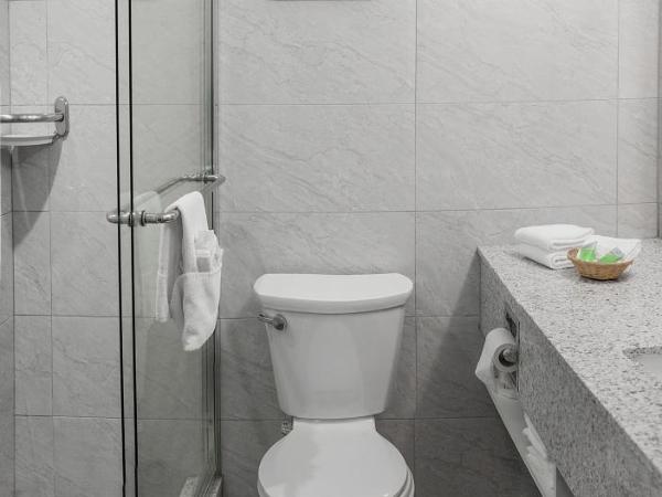 Auberge Royal Versailles : photo 6 de la chambre chambre lit queen-size deluxe