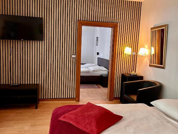 Altstadthotel Hayk am Rhein : photo 6 de la chambre economy apartment - 3 rooms no rhine river view