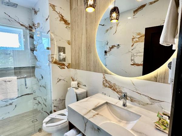 Áurea Hotel and Suites : photo 1 de la chambre chambre simple standard