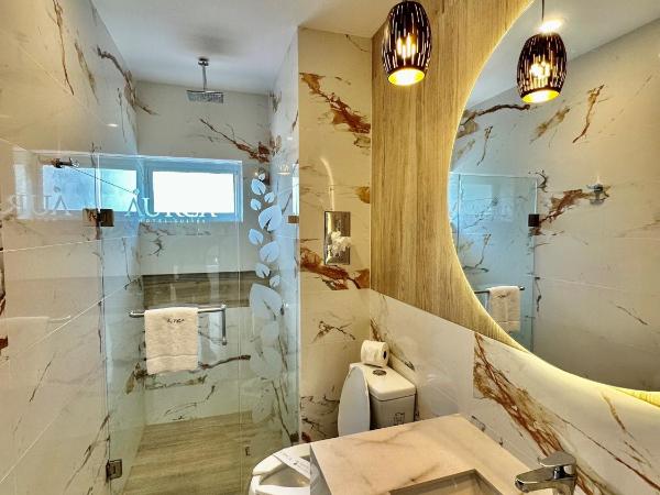 Áurea Hotel and Suites : photo 4 de la chambre chambre simple standard