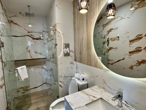 Áurea Hotel and Suites : photo 5 de la chambre chambre simple standard