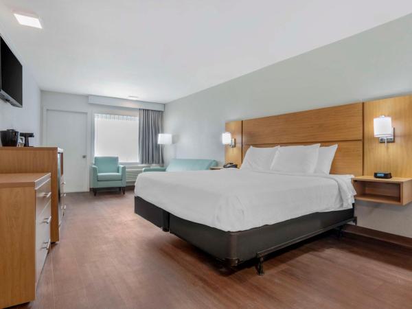 Chateau Beachfront Resort - BW Signature Collection : photo 2 de la chambre chambre lit king-size avec canapé-lit - non-fumeurs