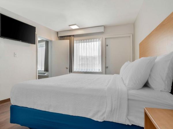 Chateau Beachfront Resort - BW Signature Collection : photo 2 de la chambre suite lit king-size avec canapé-lit - non-fumeurs