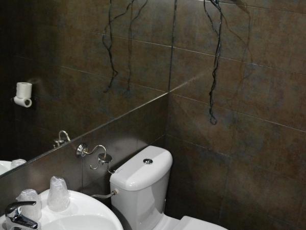 Hostal El Brezo : photo 7 de la chambre chambre double – vue sur ville